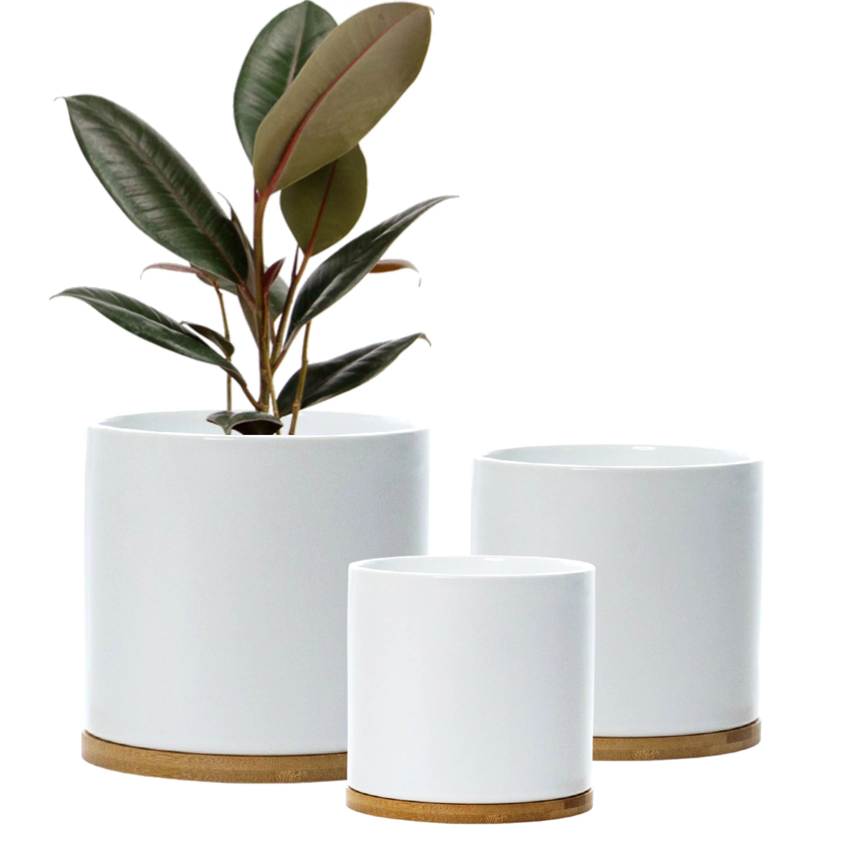 Matt White Set 3 Ceramic Plant Pots with Bamboo Coasters Indoor Planters White Pot Set Ceramic Fl... | Walmart (US)