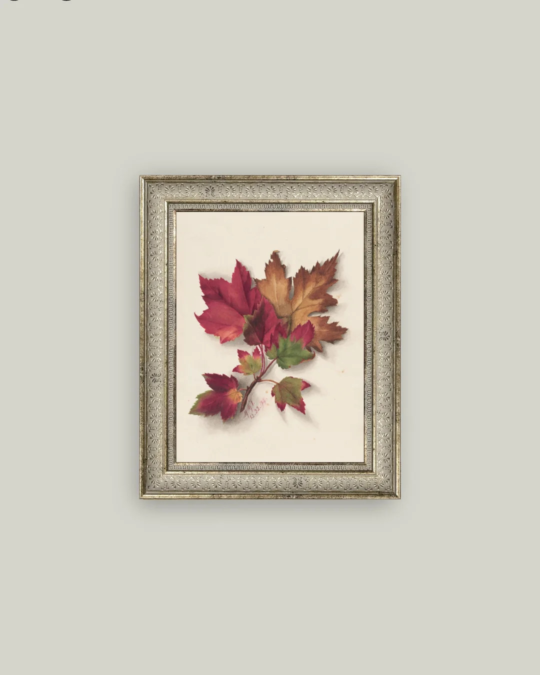 Autumn Leaves | Petal Lane