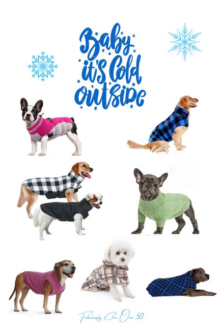 Our TOP picks in fabulous pet sweaters and jackets to keep your fur babies warm all season!

#BabyItsColdOutside 

#LTKSeasonal #LTKfamily #LTKfindsunder50