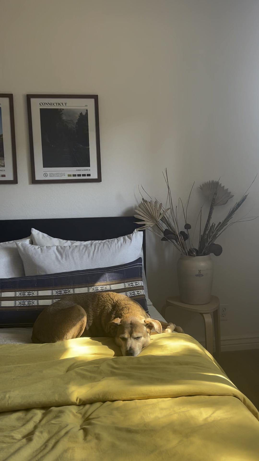 Ashley + Joseph always have visitors in sunny Arizona. These pieces are inspired by how they’ve styled their guest room

#LTKHome #LTKFamily #LTKStyleTip