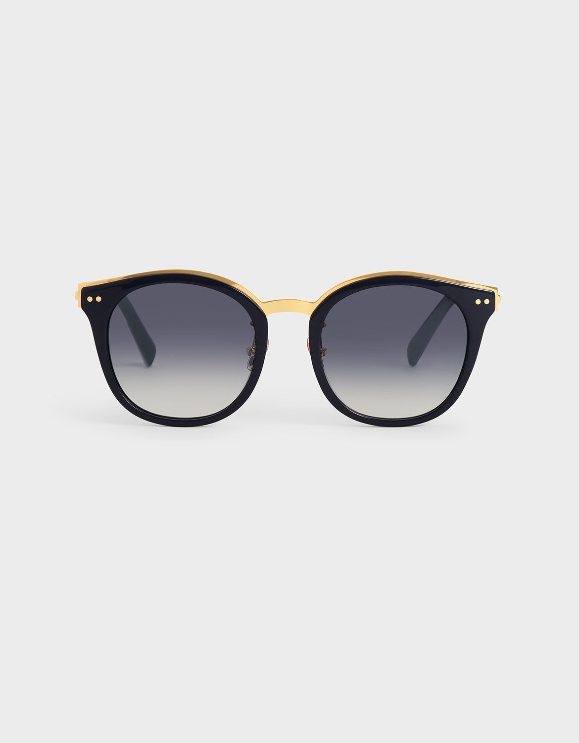 Acetate Frame Wayfarer Sunglasses
- Dark Blue | CHARLES & KEITH (US)