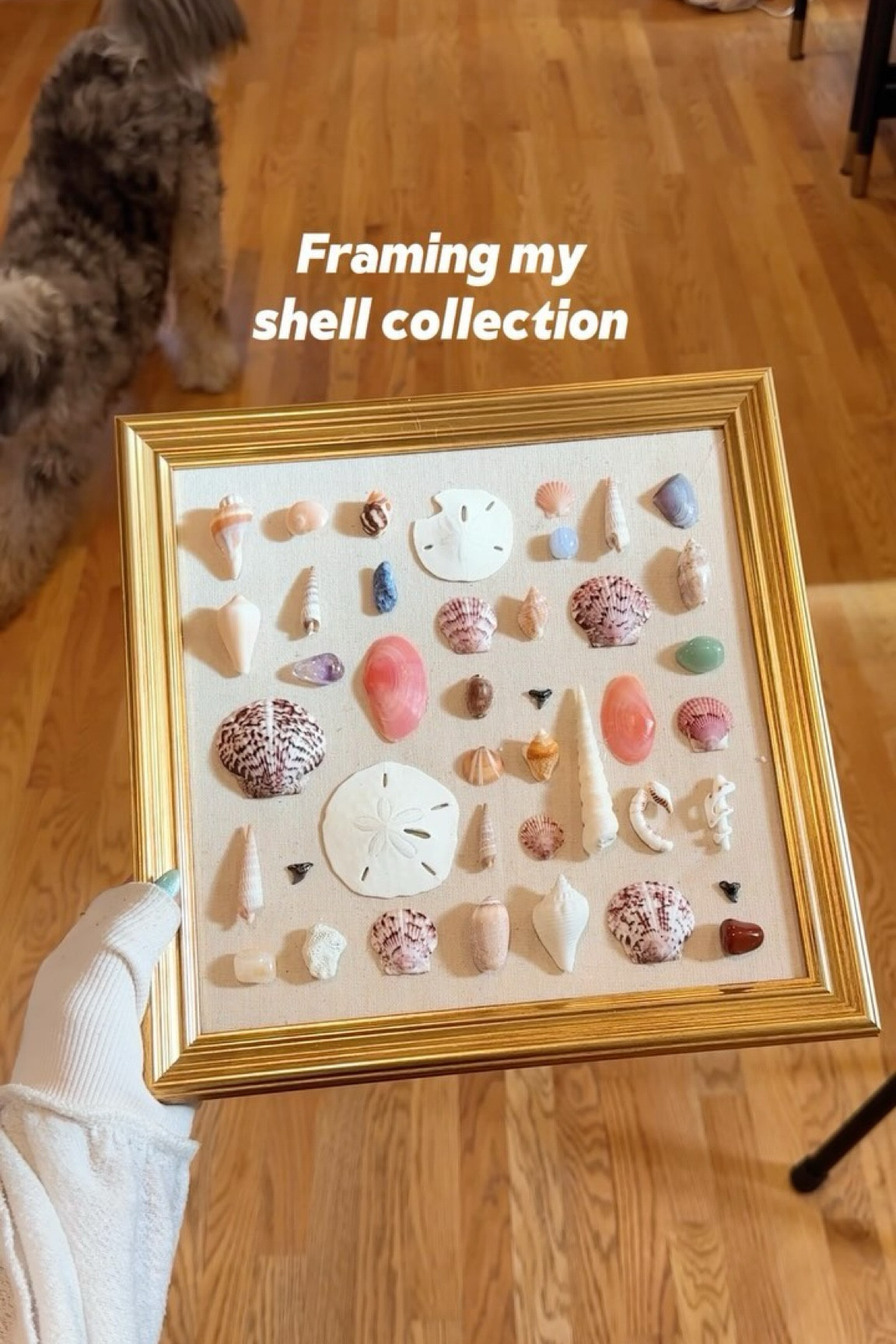 Brb i am SCREAMING. Obsessed with this. Drooling over it.
I have been wanting to find a way to incorporate my love for collecting shells, rocks, and shark teeth into some of my home decor!!

Now i get to walk into my bedroom and gaze at some of my favorites I’ve collected over the years from all around the world 🫶🏻

#diycrafts #diyhomedecor #bedroomideas #homedecoration #eclecticdecor

#LTKHome #LTKVideo