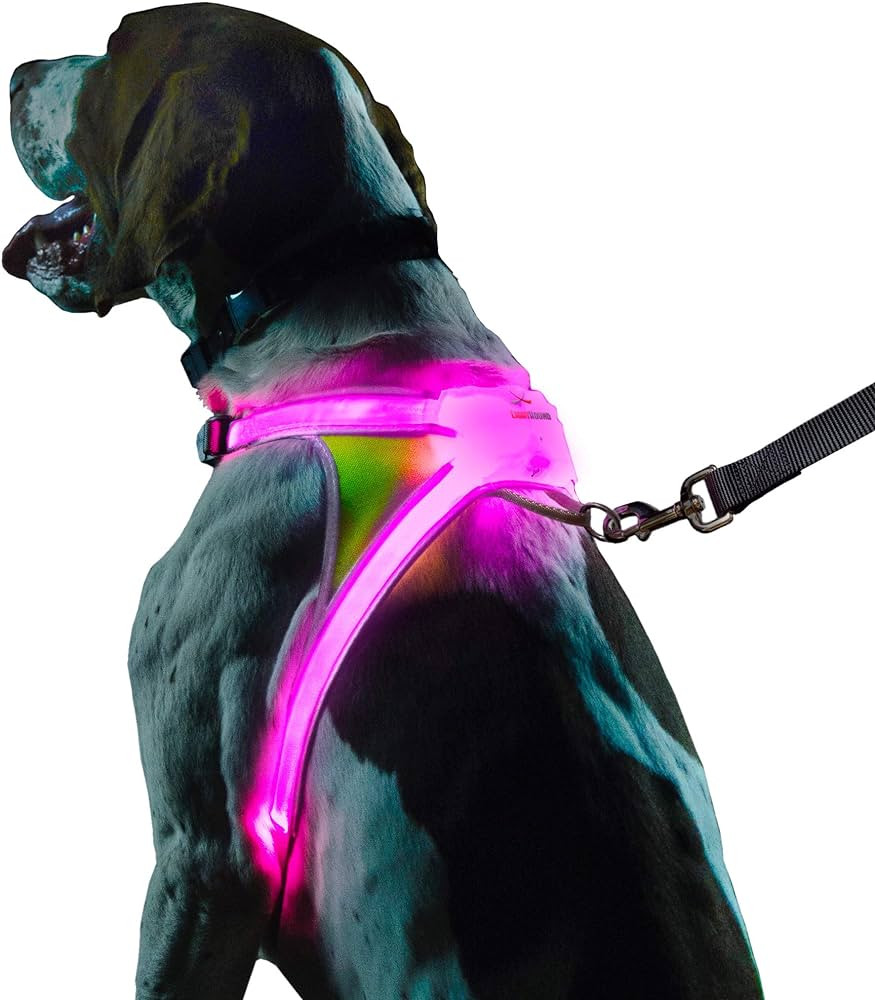 Noxgear LightHound – Revolutionary Illuminated and Reflective Harness for Dogs Including Multic... | Amazon (US)