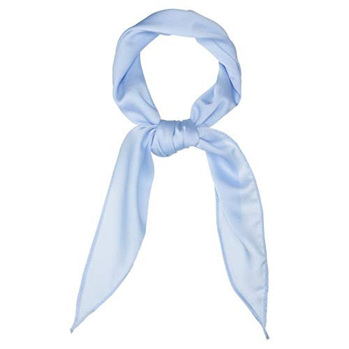 Allegra K Solid Color Rhombus Neck Scarf Scarves Skinny Long Neckerchief for Women Light Blue | Amazon (US)