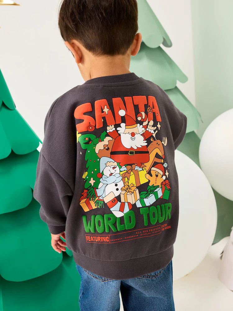 Buy Charcoal Grey Christmas Crew Neck Jersey Sweatshirt (3mths-7yrs) from Next USA | Next US