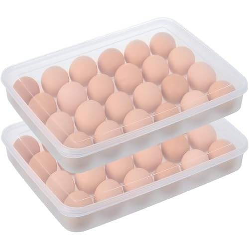 Deviled Egg Containers with Lid, (Set of 2),Stackable Plastic Egg Holder for 48 Eggs,Clear Egg Storage Holder for Fridge,Keep Fresh,Easter,Thanksgiving Party Kitchen Supplies | Amazon (US)