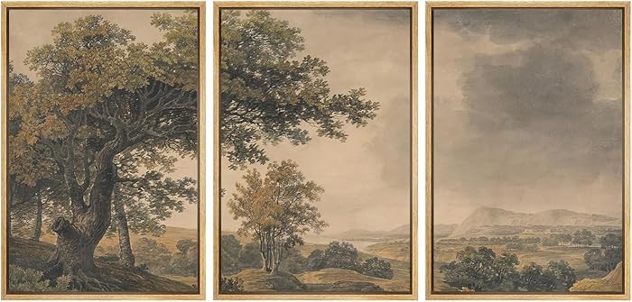 MUDECOR Framed Wall Art Print Set Vintage Landscape Rustic Tree and Mountain View Illustrations D... | Amazon (US)