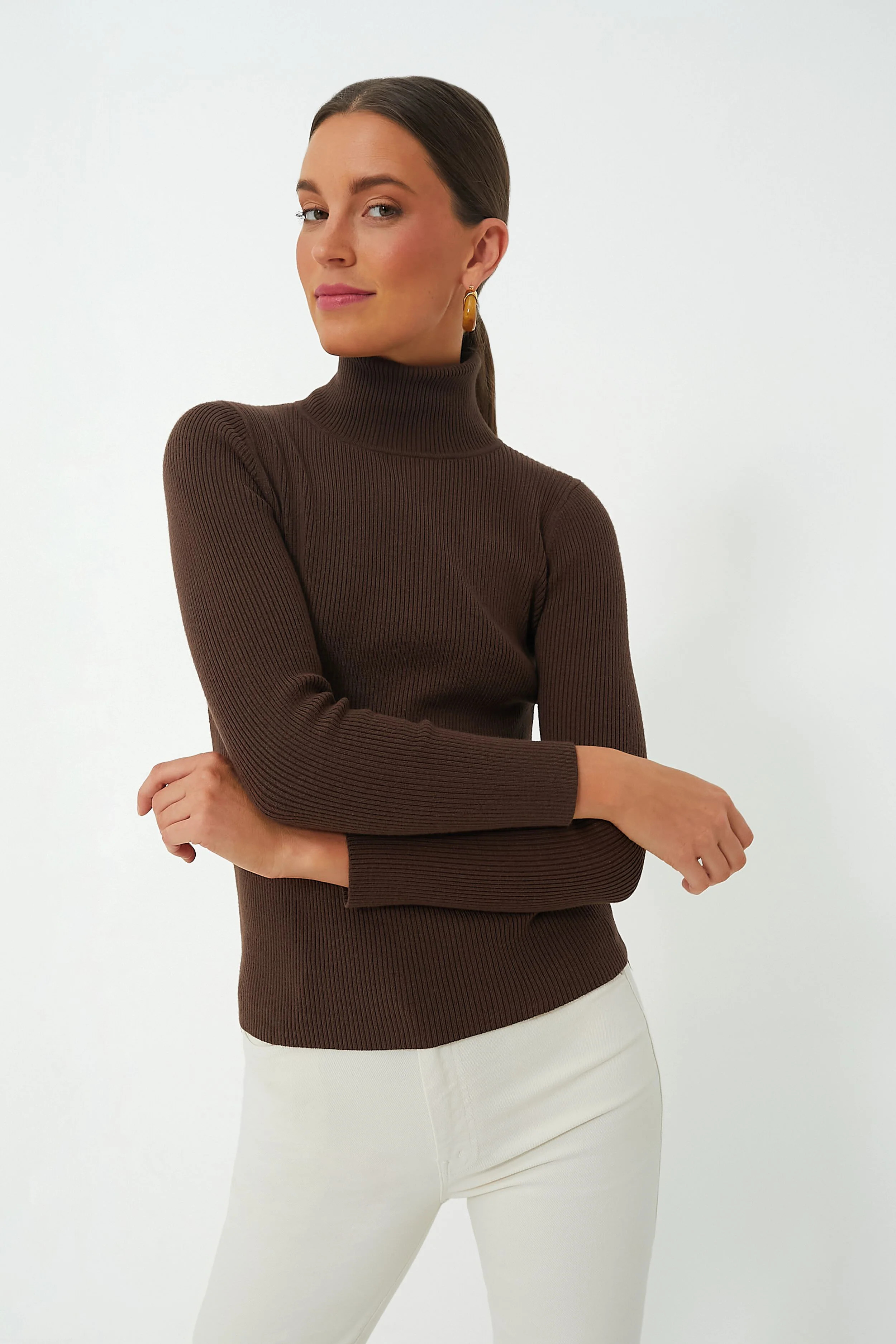 Brown Arlo Ribbed Turtleneck | Tuckernuck (US)