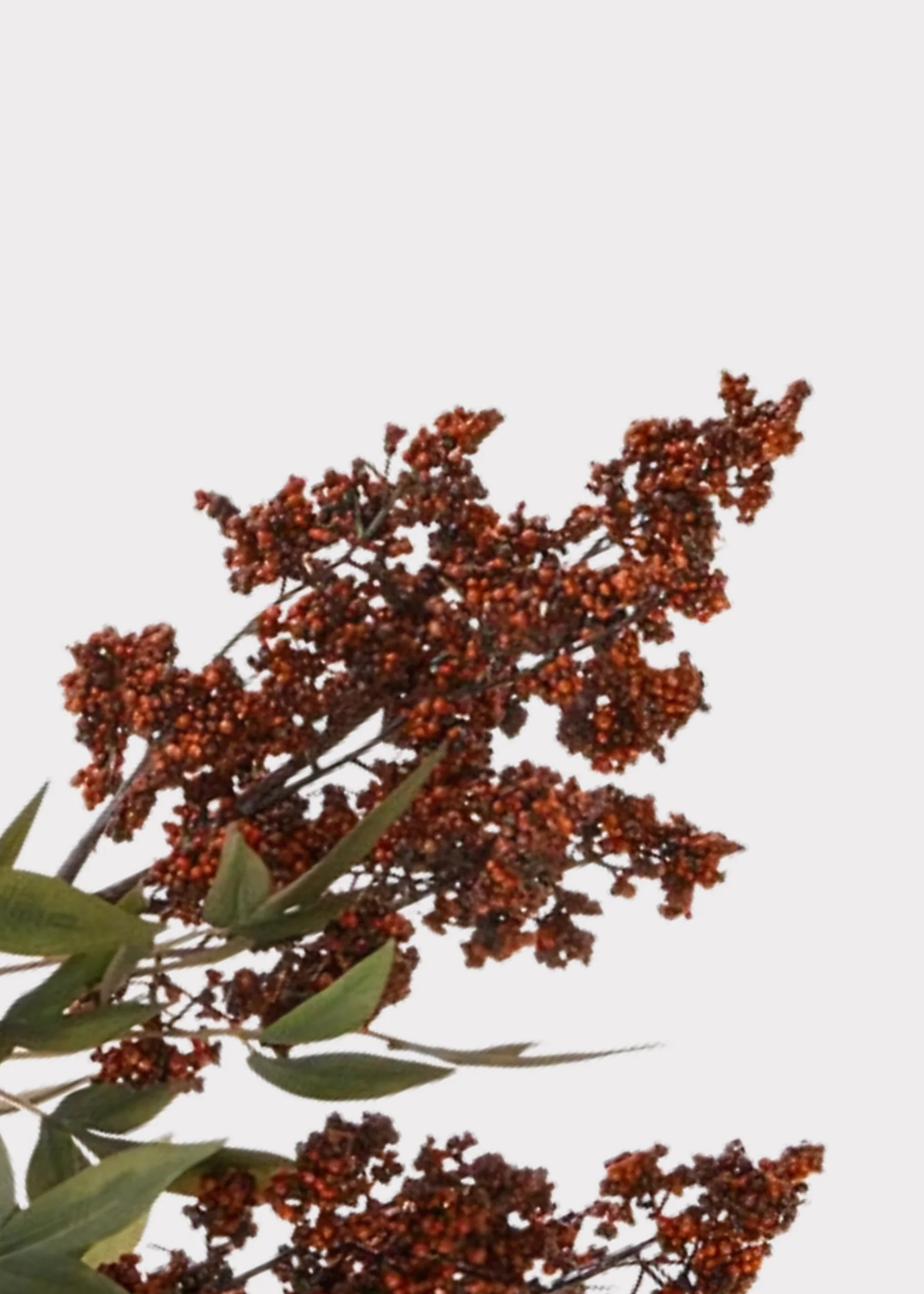 Burgundy Fake Hanging Nandina Berry Branch - 45" | Afloral