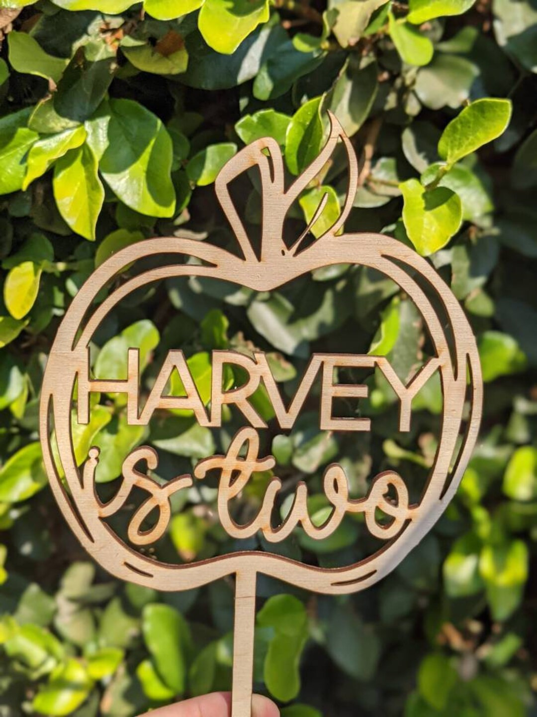 Custom Apple Happy Birthday Personalized Name and Age Cake Topper Birthday Apple Cake Topper Smas... | Etsy (US)