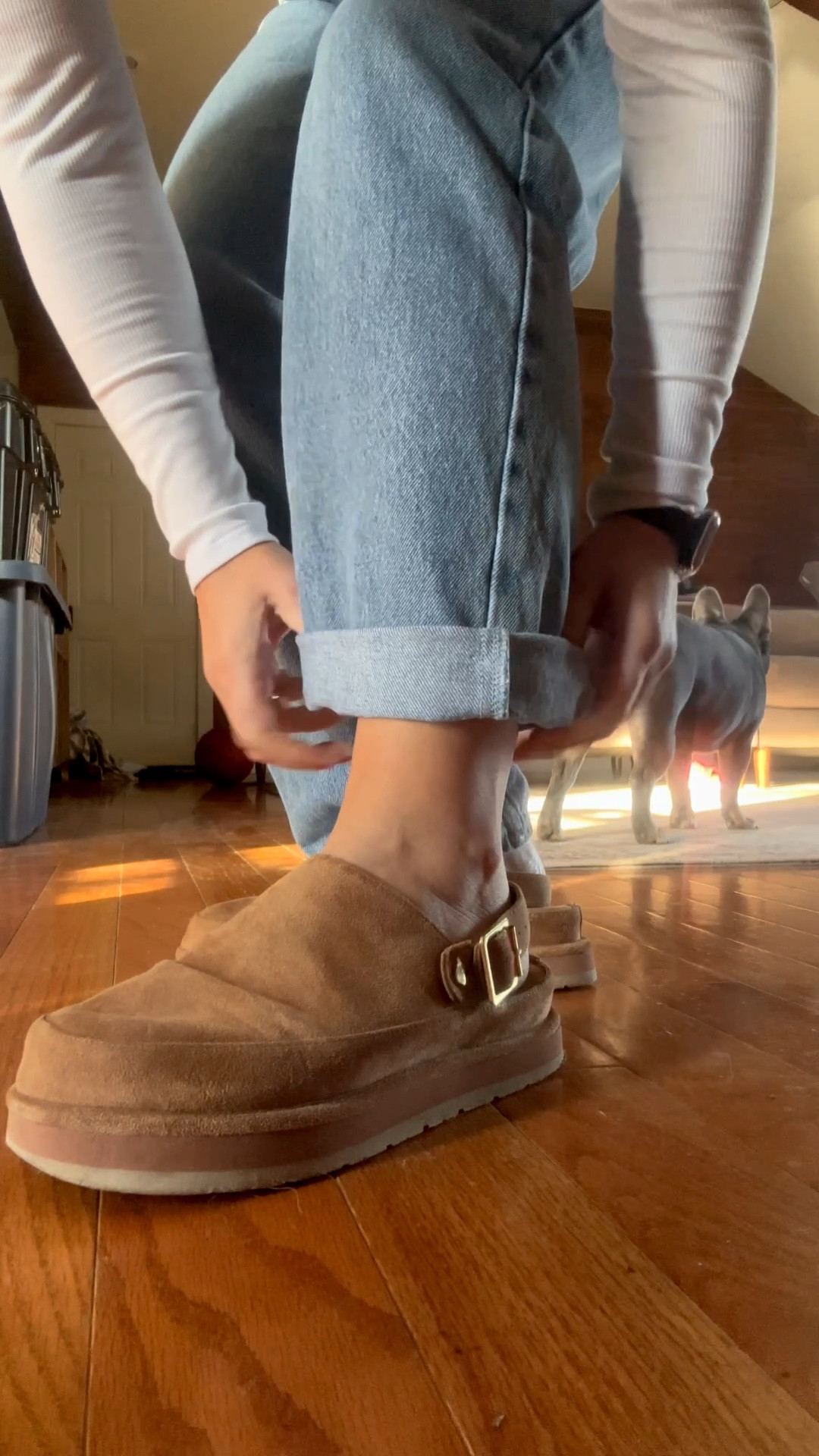 
All Amazon, OOTD for the busy, 40+ babes who need minimal effort — but still want to look put together. ✨

#over40 #over40andfabulous #over40fashion #over40women #momstyle 

#LTKOver40 #LTKPetite #LTKootd