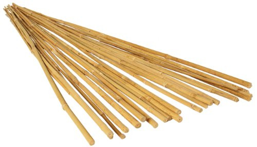 Hydrofarm HGBB6 6' Natural, pack of 25 Bamboo Stake, Tan | Amazon (US)