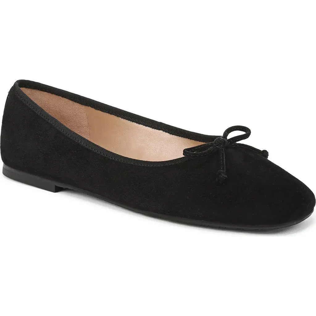 Sam Edelman Alie Ballet Flat in Black Suede at Nordstrom, Size 8 | Nordstrom