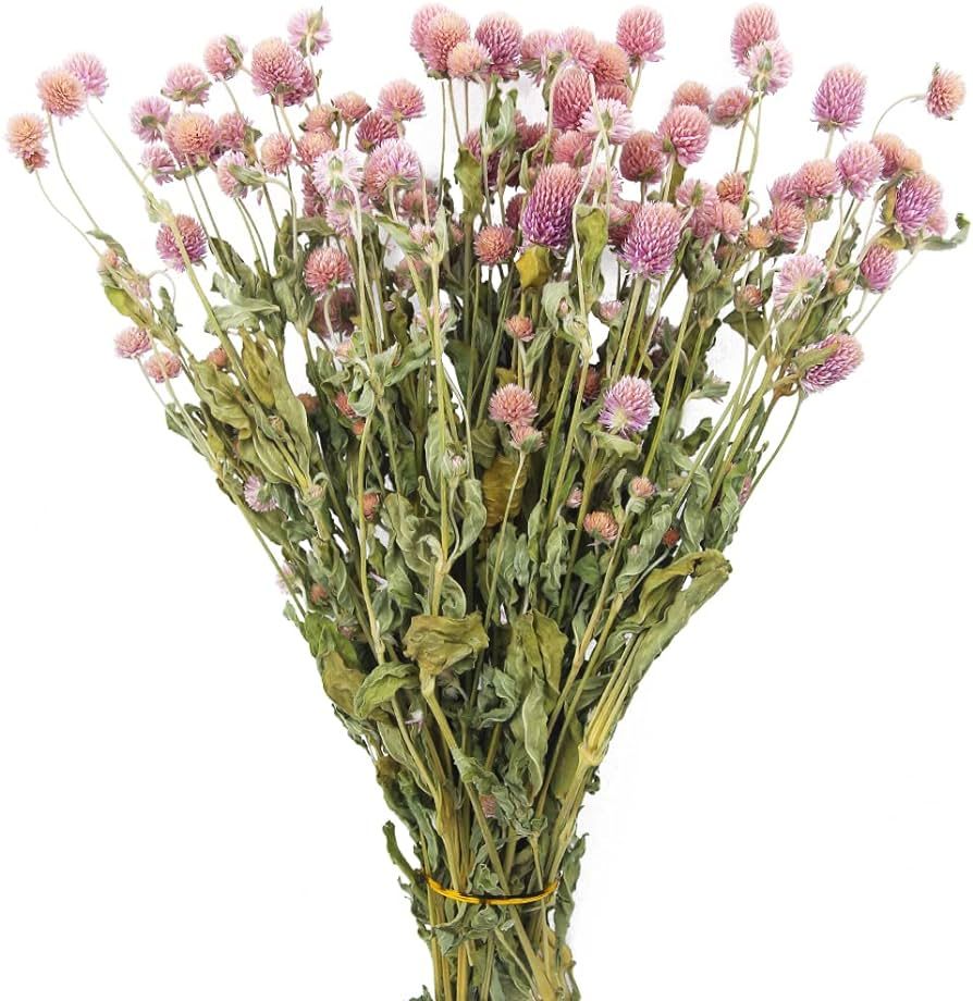 JOJAZE Dried Flower Pink Globe Amaranth Natural Dried Rose Flowers Bundles Flowers Dried Bouquet ... | Amazon (US)
