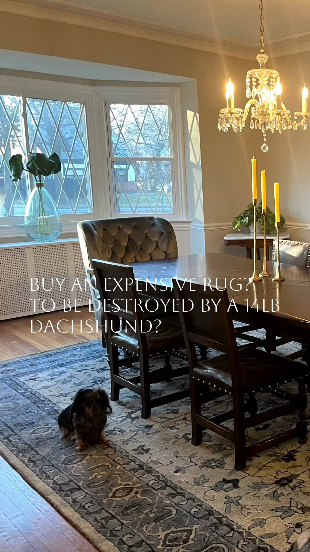 I just gave my money to the dogs. Mistake? Let’s call it a learning moment. Beautiful rugs can be washable, durable, practical and, best of all, affordable. This one was under $100! I still buy expensive rugs but I mix them in with more dog-friendly options.

#LTKHome