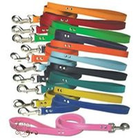 4 Ft Leather Dog Leash, Nickel Plated Hardware, Various Colors | Etsy (US)