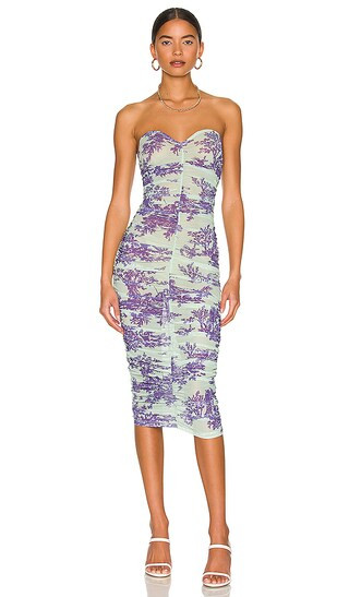 Renzo Dress in Mint Toile | Revolve Clothing (Global)