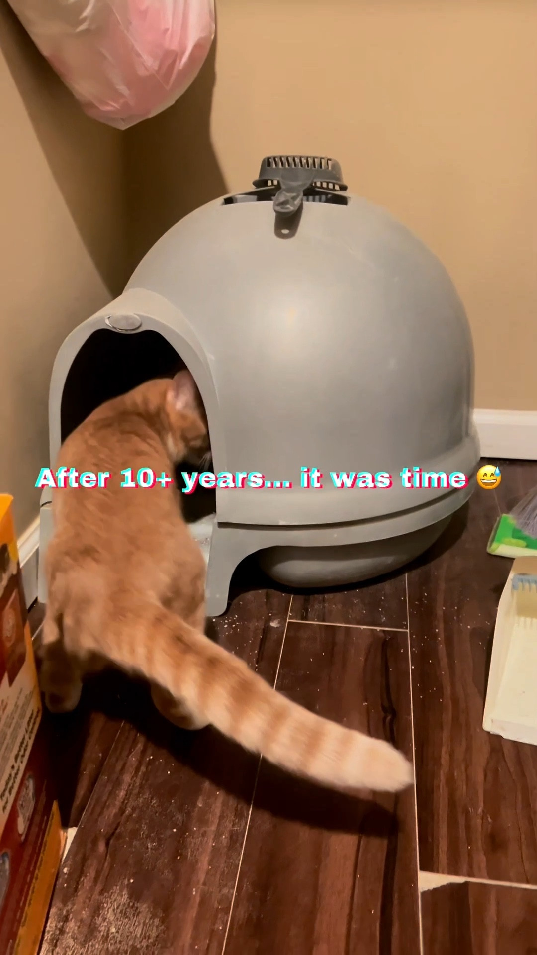 We thought the dome lids would stop the splashing… they absolutely did not 💦

Switched to stainless steel and now I get the hype—
non-stick, easier to clean, and way less odor 🙌

Went with XL because… 3 boys = no room for mistakes 🐈🐈🐈

Takes up less space, looks cleaner, and honestly just makes life easier.

Snagged these on sale + free next day delivery so I grabbed two 🏃‍♀️

Anything for my boys… even a bathroom upgrade 😌

#LTKhome #TikTokMadeMeBuyIt #catmomlife #petessentials #homefinds #catlovers #amazonfinds

#LTKHome