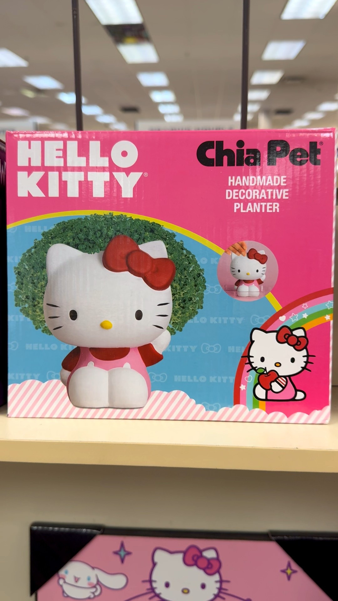 These take me back to childhood! #hellokitty #gardening #plants #chiapet 

#LTKFamily #LTKKids #LTKHome