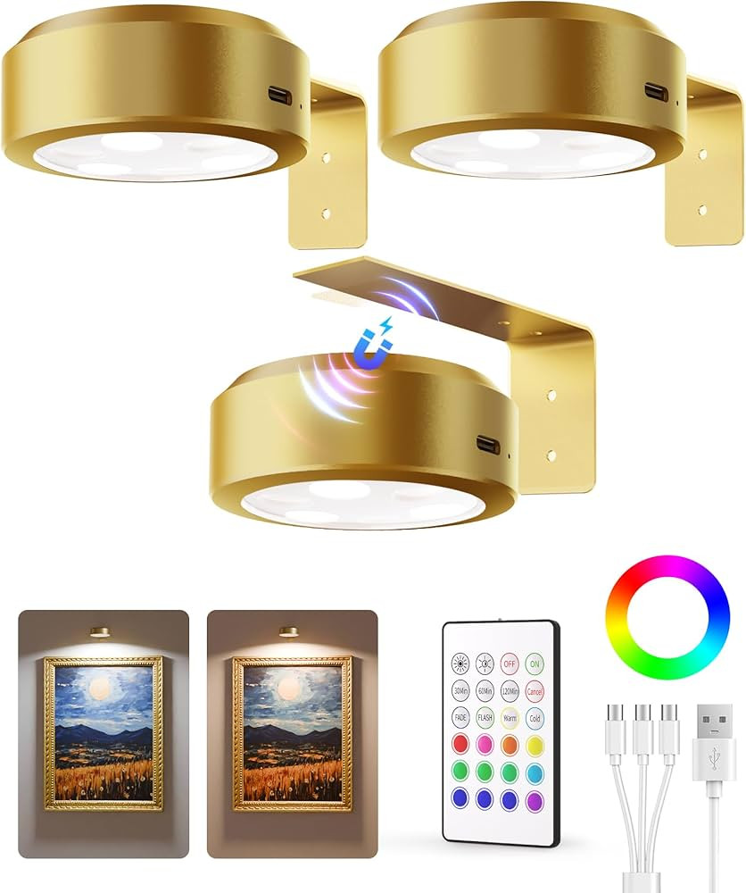 EZVALO Picture Lights for Wall, 2000mAh Rechargeable Battery Magnetic Poster Lights with 2 Color Temps & 12 RGB, Remote Dimmable Timer Painting Light, Wall Decor Light for Art Display, Frame (3 Pack) | Amazon (US)