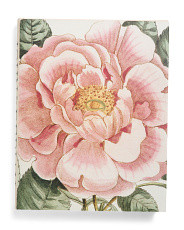 John Derian Picture Book Ii | Pillows & Decor | Marshalls | Marshalls