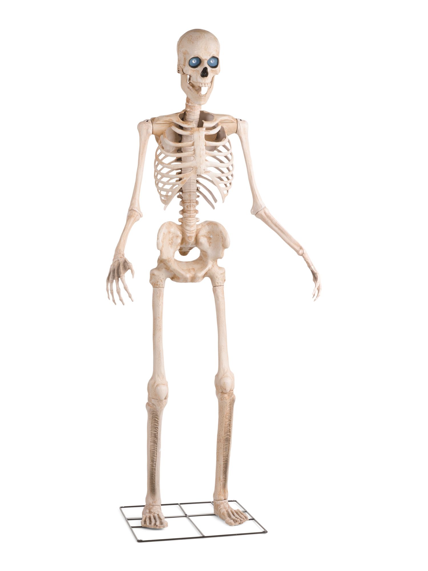 MR BONES
							
							8ft Outdoor Animated Eyes Towering Skeleton
						
						
							

	
		
	... | Marshalls
