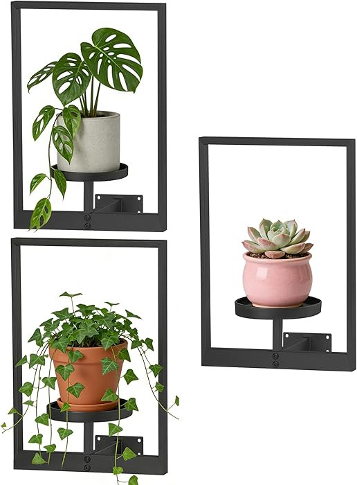 Wall Hanging Plant Stands Planter Shelves, Indoor Outdoor Window Plant Hanger Decor for Living Ro... | Amazon (US)