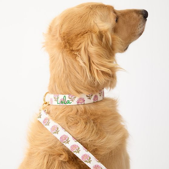 Block Print Dog Collar | Mark and Graham