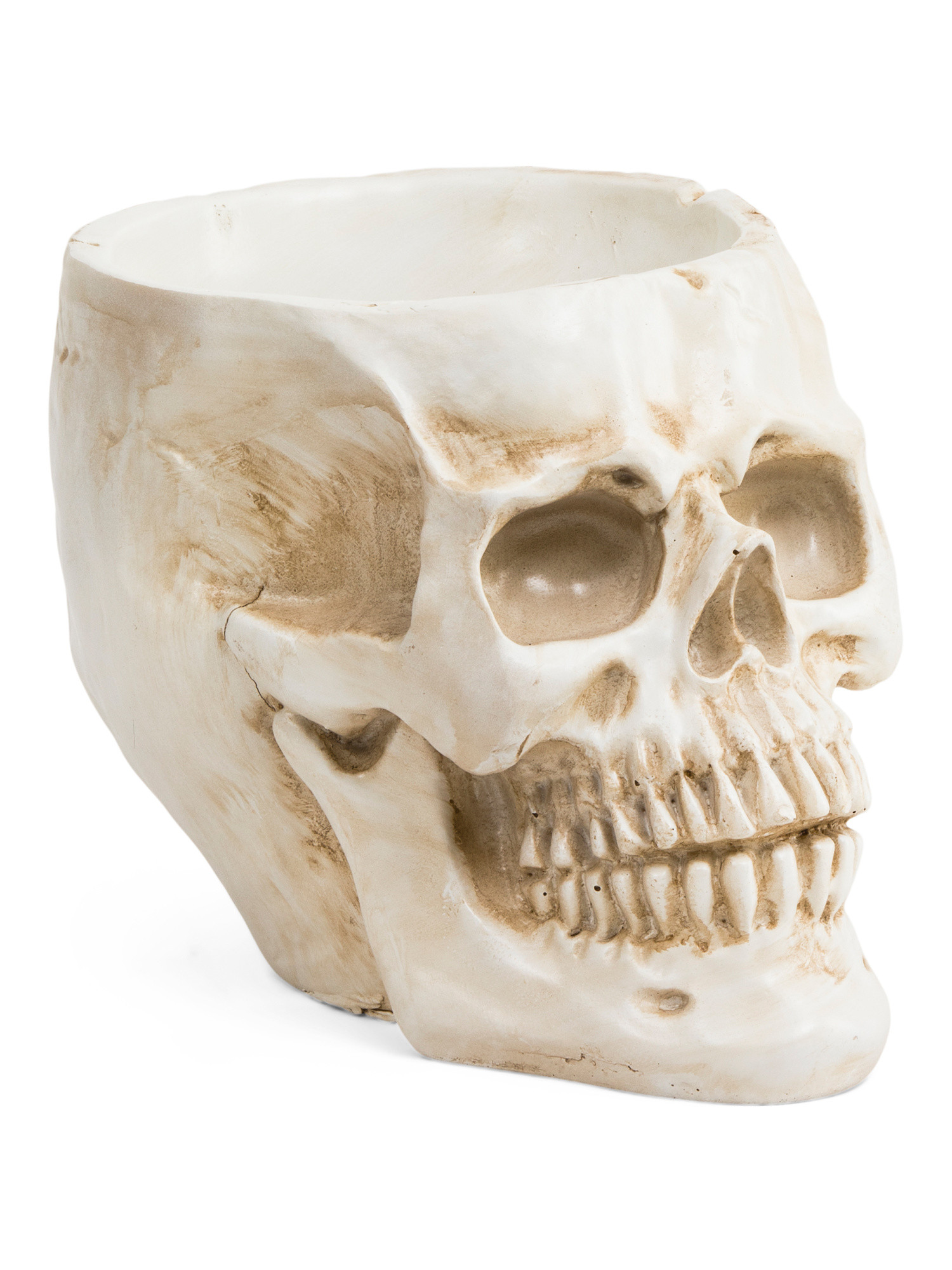 Skull Flowerpot | TJ Maxx
