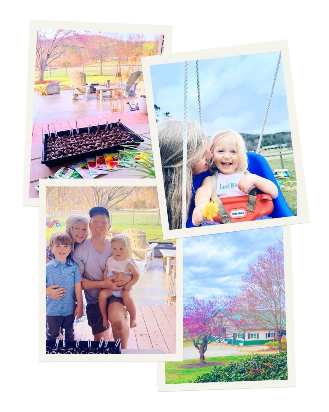 w e e k e n d  c a m e r a  r o l l 🌳🌸🧺🚜🍑🌷🪴🤎🪏💦🌱☀️🍀 - so much fun 🤩 exploring our pastures and land 🌾, a tacos 🌮 and bonfire 🔥 night with friends 🫶🏽, saturday morning sweet potato 🍠 pancakes 🥞, St. Patrick’s 🎩  festive jammies for March 🍀, daffodils 🌼 in bloom and so much fun with family 🙌🏽, stunning pink buds and blossoms 💕 all around 😍 the trees 🌳 on our property 🪾, discovering a beautiful budding peach 🍑 tree in our backyard 🤭, homemade sourdough pizza 🍕 making 😋, and planting our seeds 🌱 for the spring garden!! 👩‍🌾🍅🌿 We could not (!!) be more excited for our very first spring here on the farm y’all!! 💖 #thisweekend #weekendcameraroll #weekendphotodump #weekendonthefarm #springisintheair