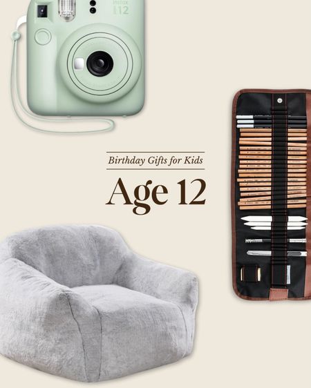 Birthday gifts for kids: age 12 - find the full guide at ChrisLovesJulia.com 

Drawing pencil set, digital camera, faux fur plush chair

#LTKGiftGuide #LTKFamily #LTKKids