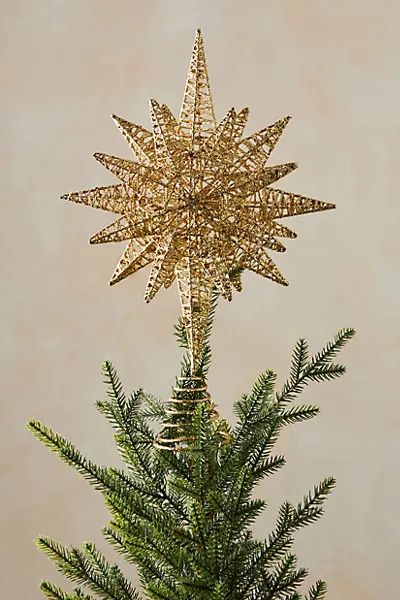 Moravian Star Tree Topper | Anthropologie (US)