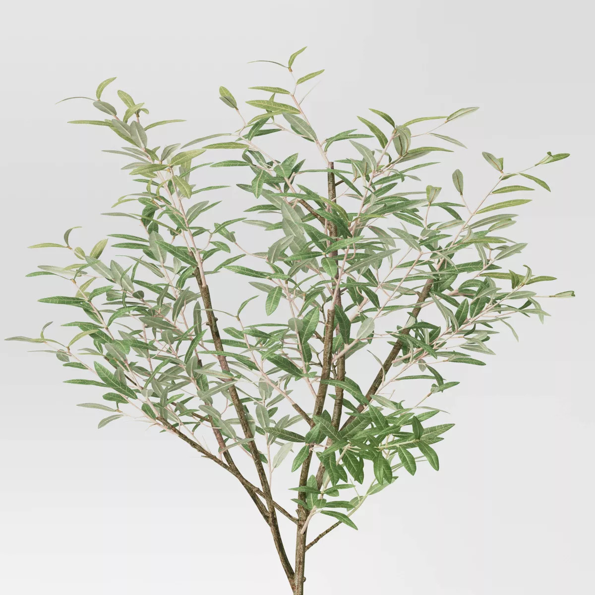 72" Olive Artificial Tree with Cement Pot - Threshold™ designed with Studio McGee | Target