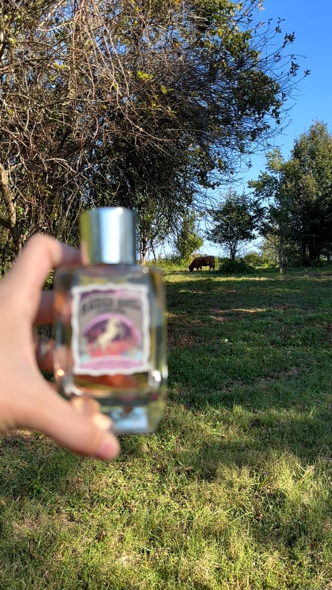 Thank you Tru Western 🥹♥️

#LTKFindsUnder100 #LTKSeasonal #LTKFallSale