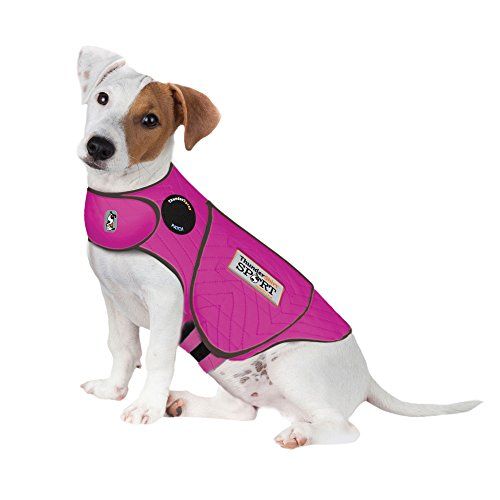ThunderShirt for Dogs, Sport - Dog Anxiety Vest | Amazon (US)