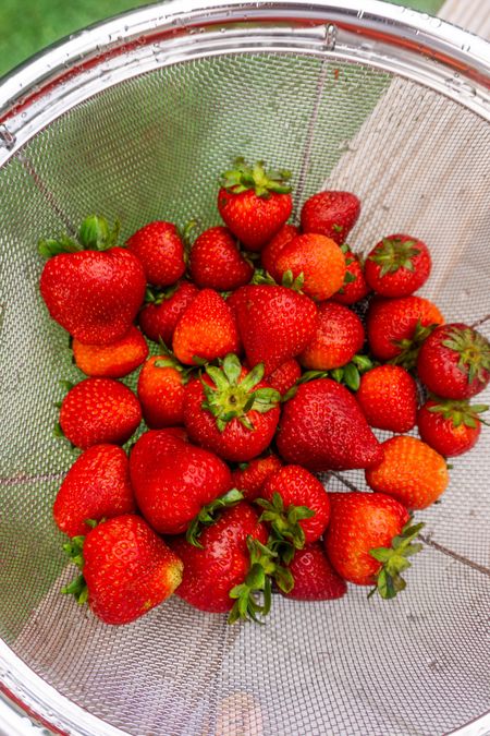 summer strawberries 🍓 

#LTKSeasonal #LTKFind