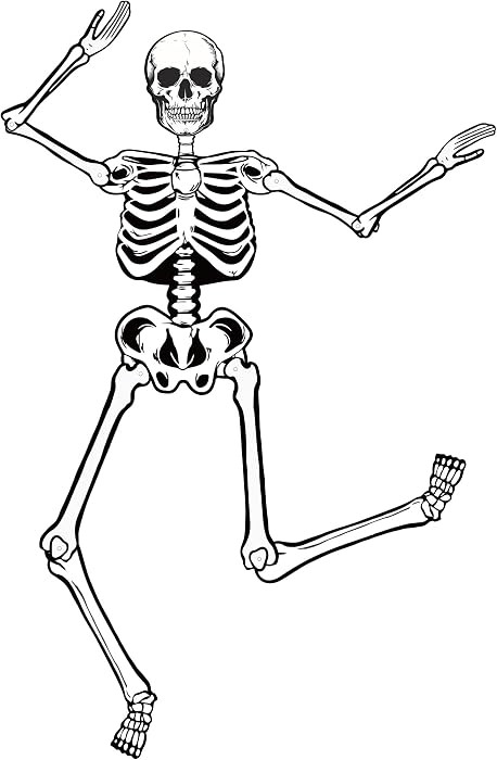 Halloween Skeletons Decorations, 3.2ft Large Paper Skeleton Decor Vintage Posable Jointed Skeleto... | Amazon (US)