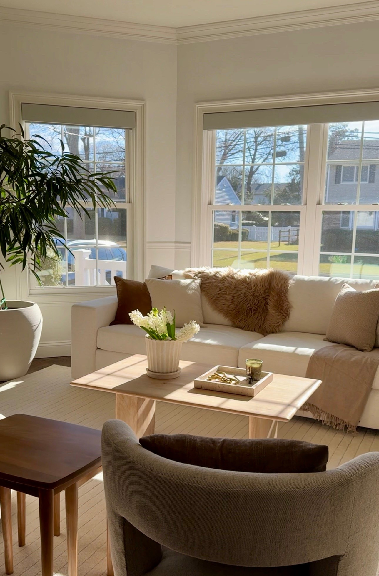 Living room winter views

#livingroom #coffeetable #sofa #planter

#LTKSeasonal #LTKSaleAlert #LTKHome