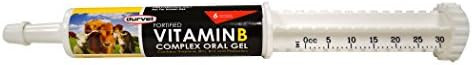 Durvet Vitamin B Complex 30ml | Amazon (US)