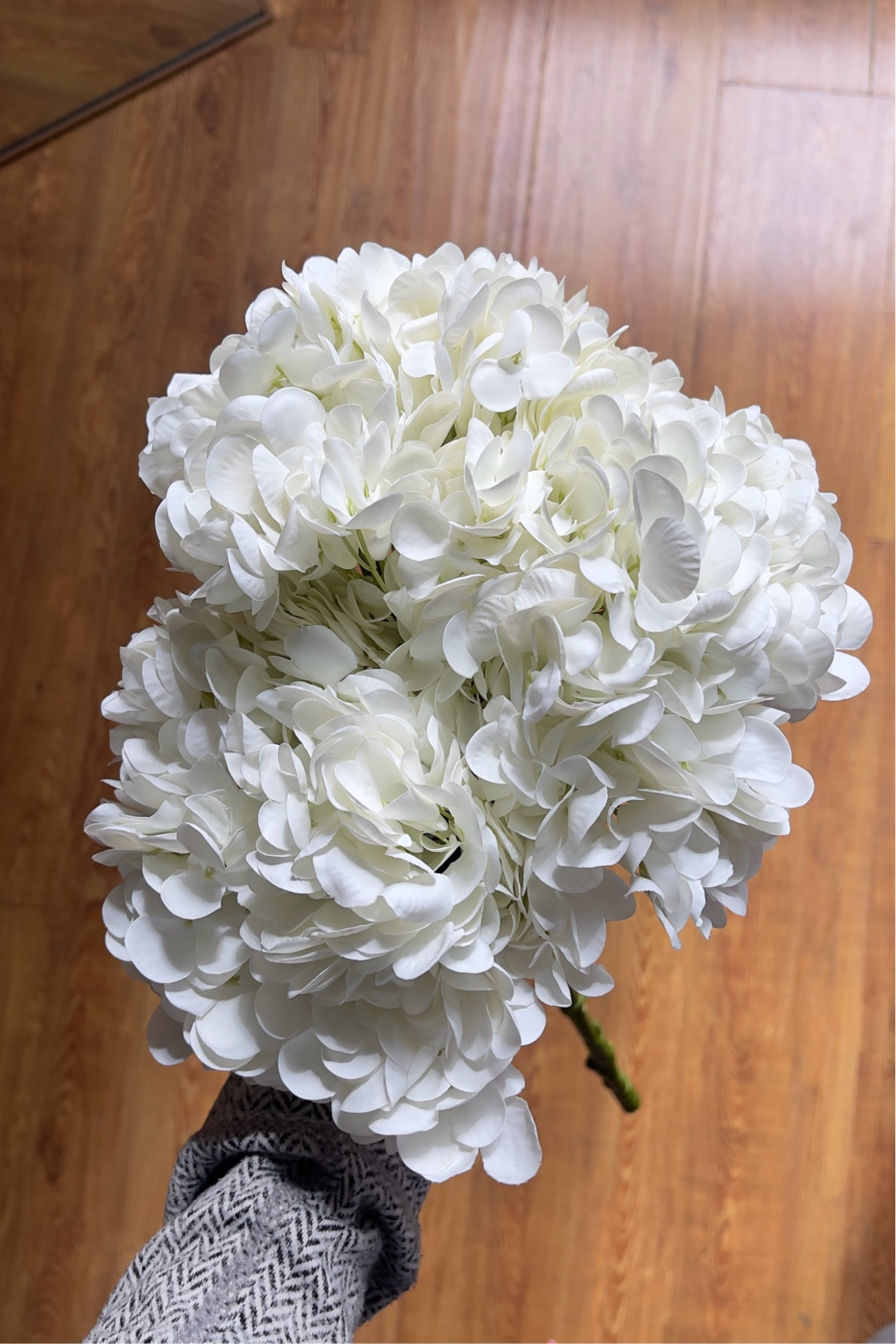 These faux flowers feel soooo real 😍

faux flowers, amazon finds, silk flowers, hydrangeas, home decor, wedding florals, diy wedding flowers 

#LTKHome #LTKFindsUnder50 #LTKGiftGuide