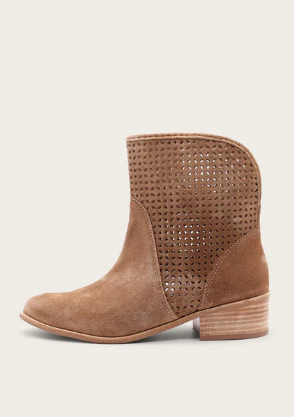 Warsaw Nutmeg | KAANAS