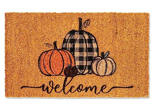 Whaline Fall Door Mats Natural Coir Welcome Doormat Pumpkin Non Slip Farmhouse Rectangle Front Door Rugs Floor Mat for Outdoor Entrance Porch Decor, 16 x 28 Inch | Amazon (US)