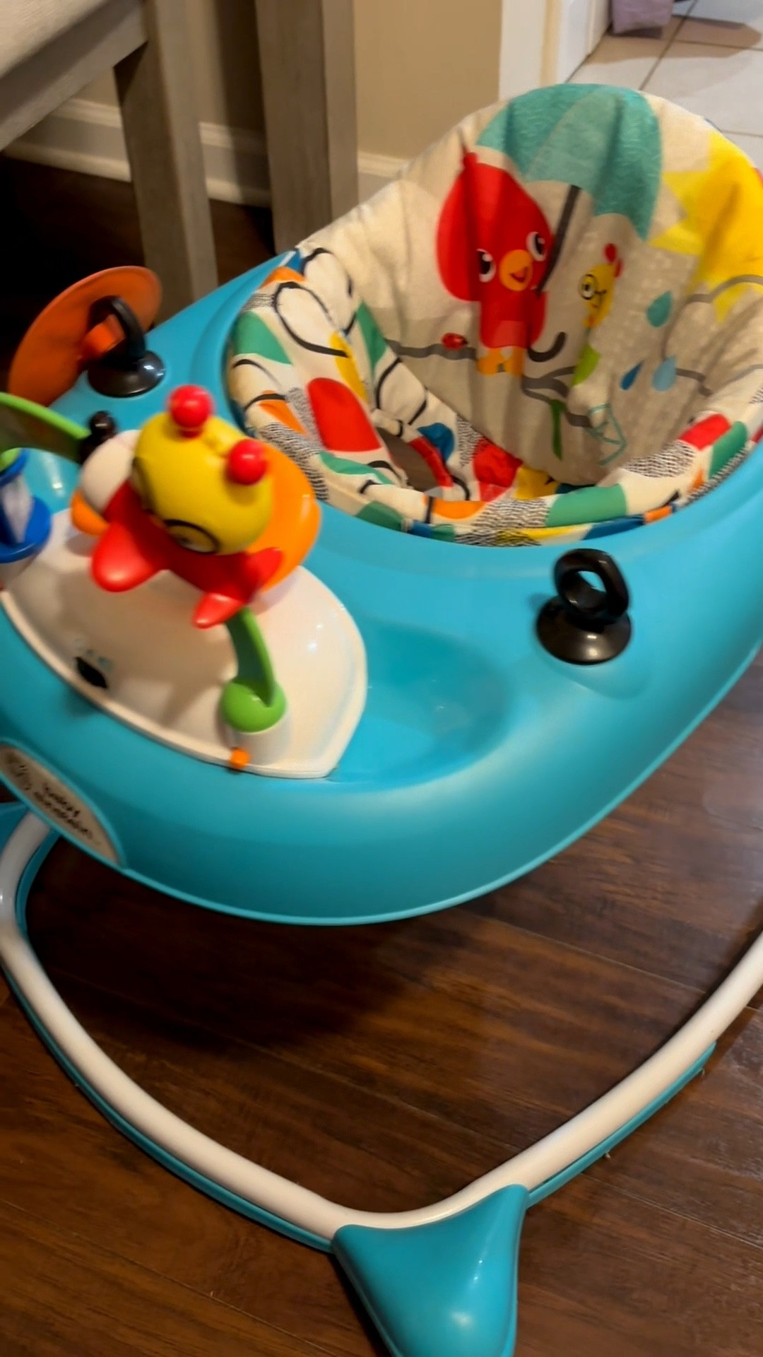 Baby Einstein walker for the win!

#LTKBaby #LTKCyberWeek #LTKGiftGuide