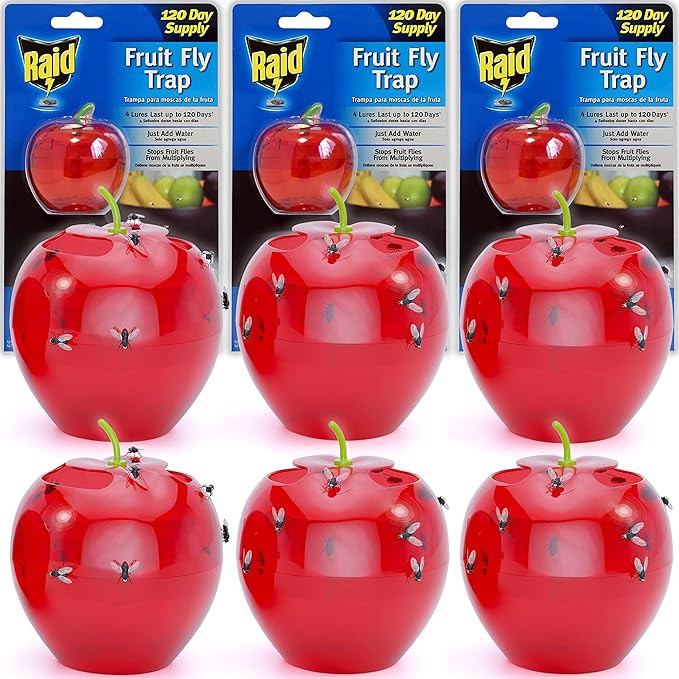 Raid Fruit Fly Trap Bundle, Set of 3 2-Pack Apple Fruit Fly Catcher Indoor Trap, 360-Day Supply o... | Amazon (US)