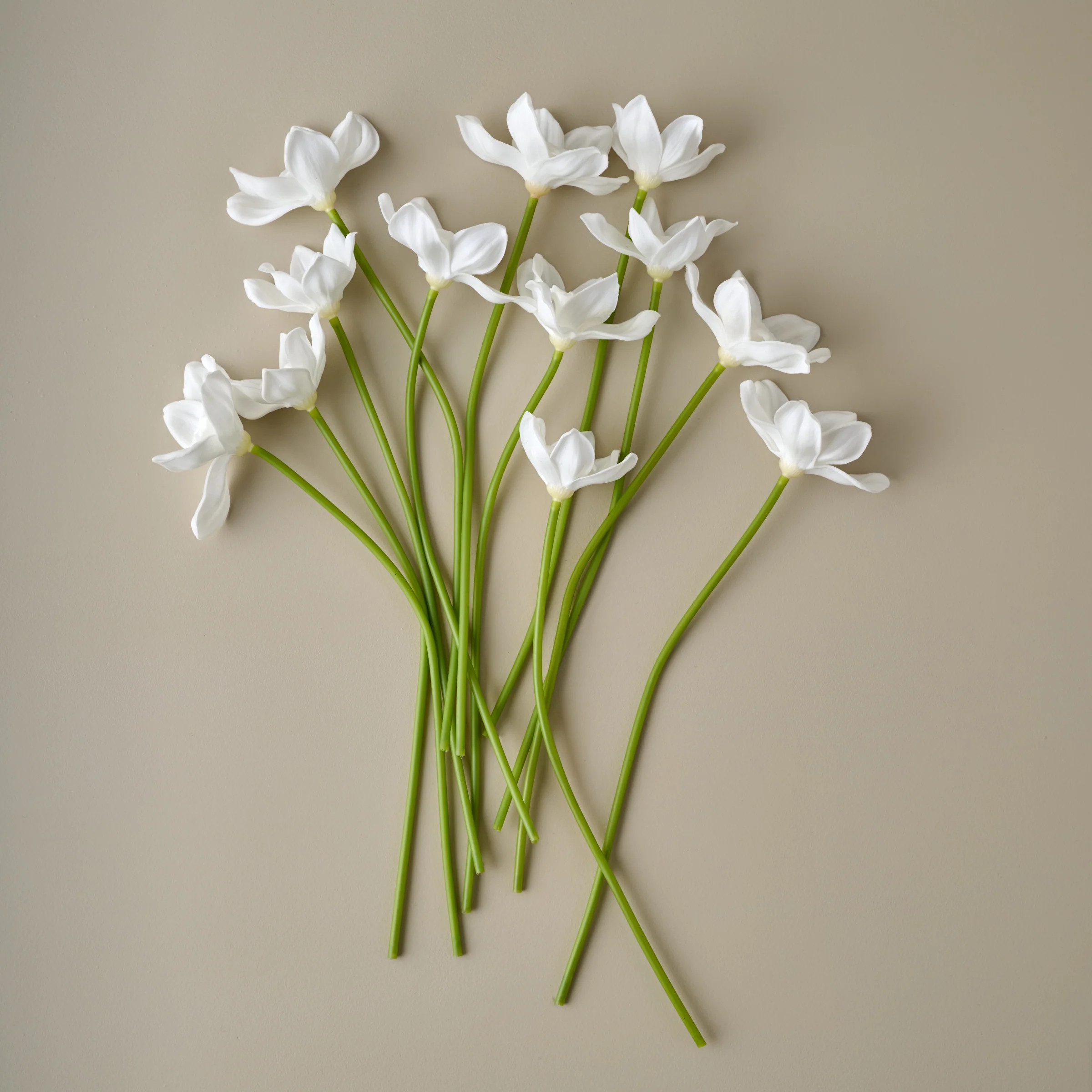 Real Touch Daffodil Bundle | Magnolia