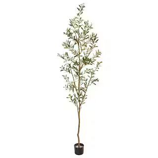 6.8ft. Potted Olive Tree | Michaels Stores