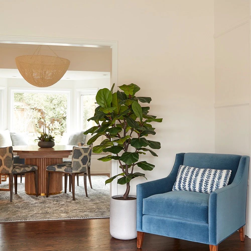 Faux Fiddle Leaf Fig Tree w/artisan pot| CG Hunter |Luxury Faux Plants | CG Hunter