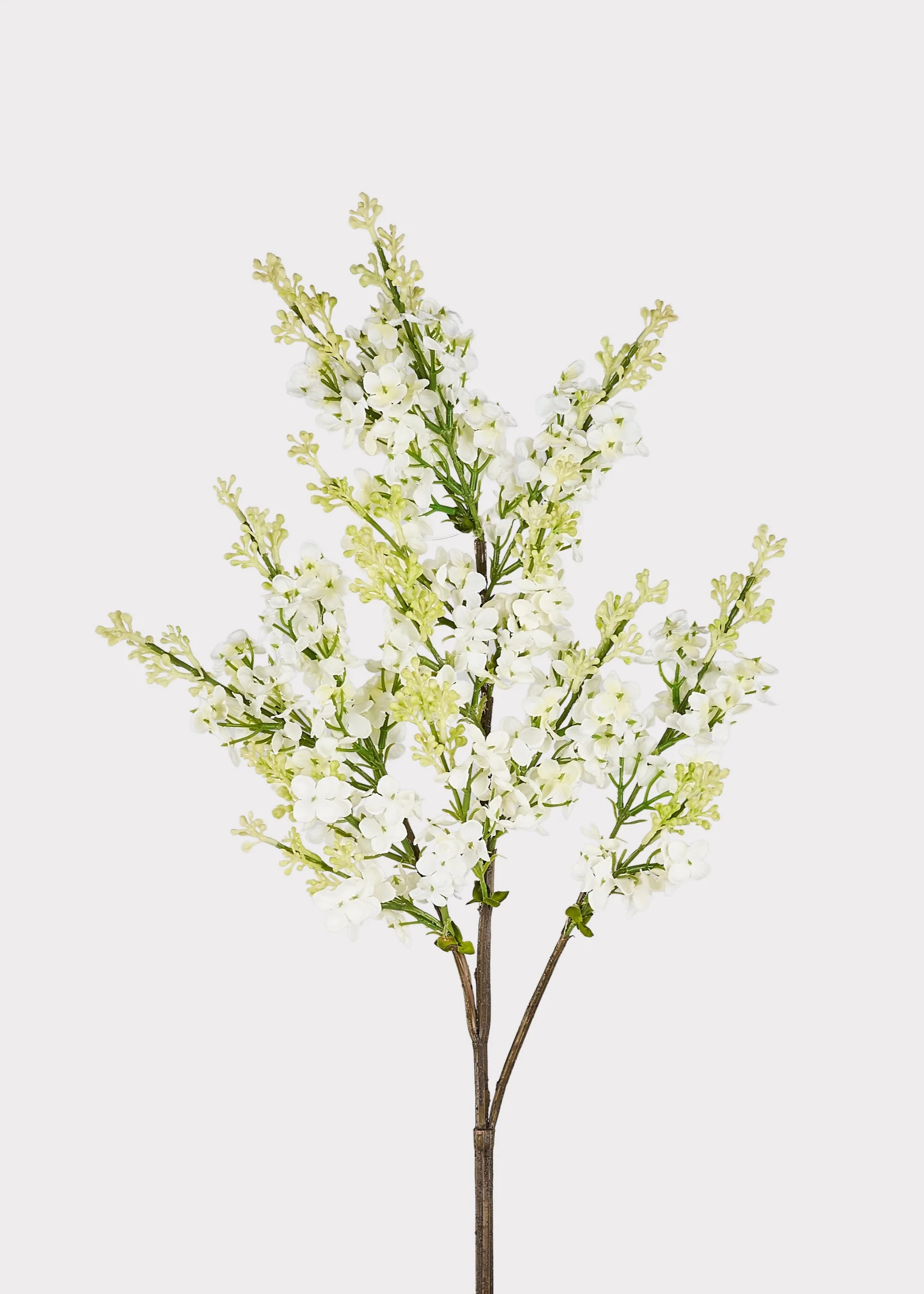 Lilac Branch in Cream | Fake Blooming Spring Flowers | Afloral | Afloral