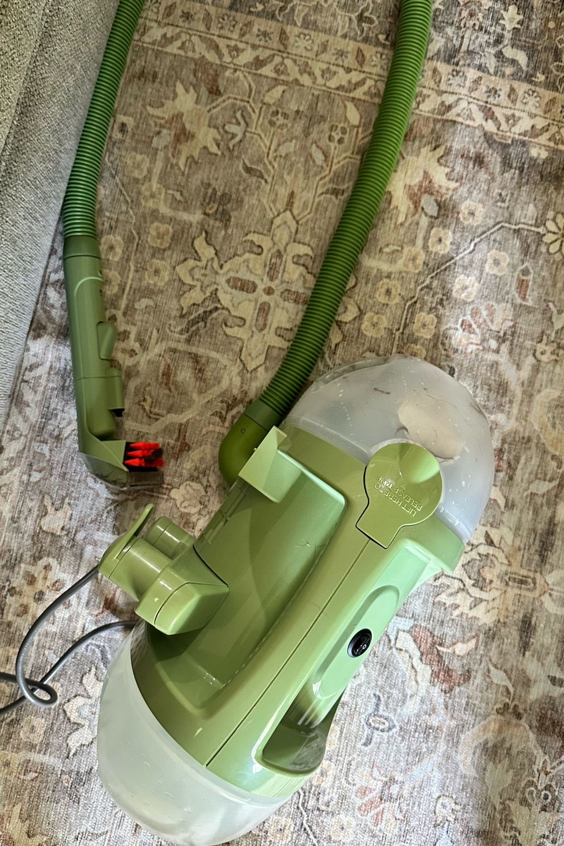 The Bissell Little Green Machine is definitely one of the most used cleaning tools we use in our house, especially with a dog who loves to make messes. It does the best at getting the stain and spills out of our carpet, rugs, couch and car seats! 🫧

#LTKHome #LTKFamily #LTKSaleAlert
