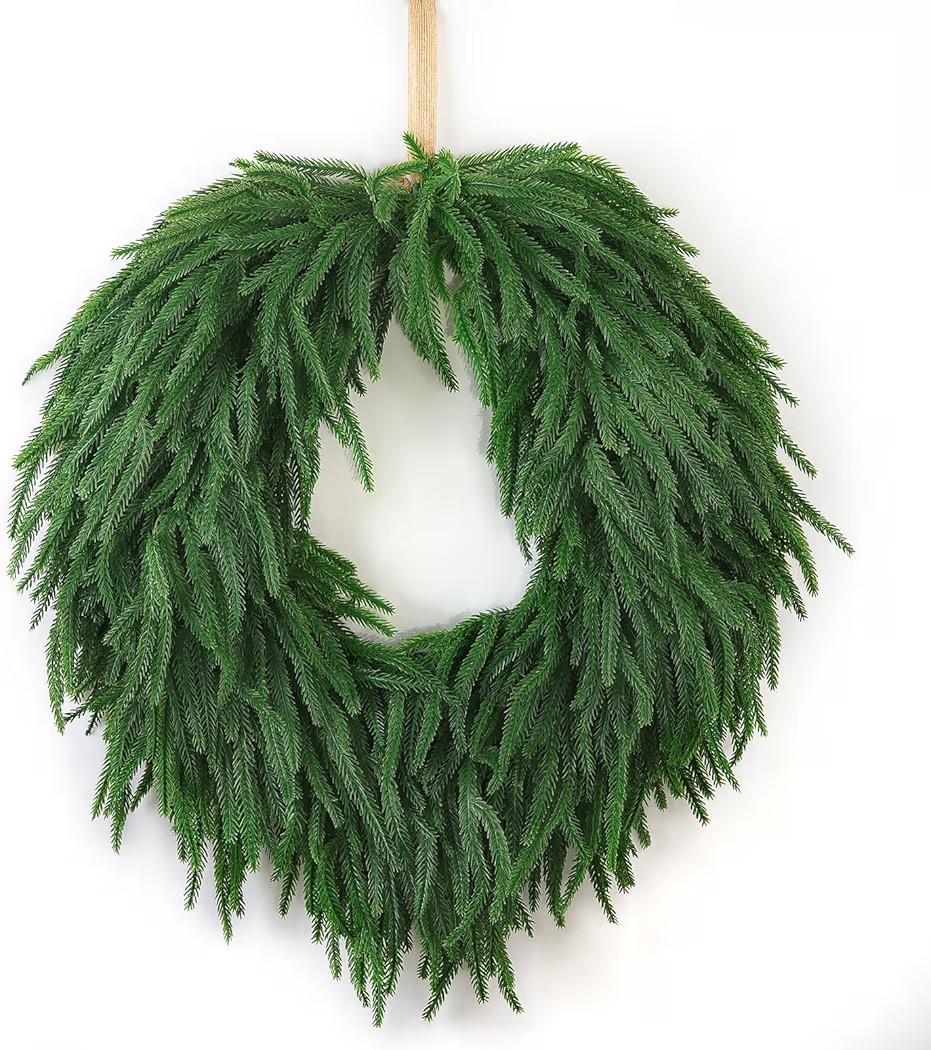 24" Norfolk Pine Christmas Wreath for Front Door – Large Artificial Greenery Wreath for Wall, P... | Amazon (US)